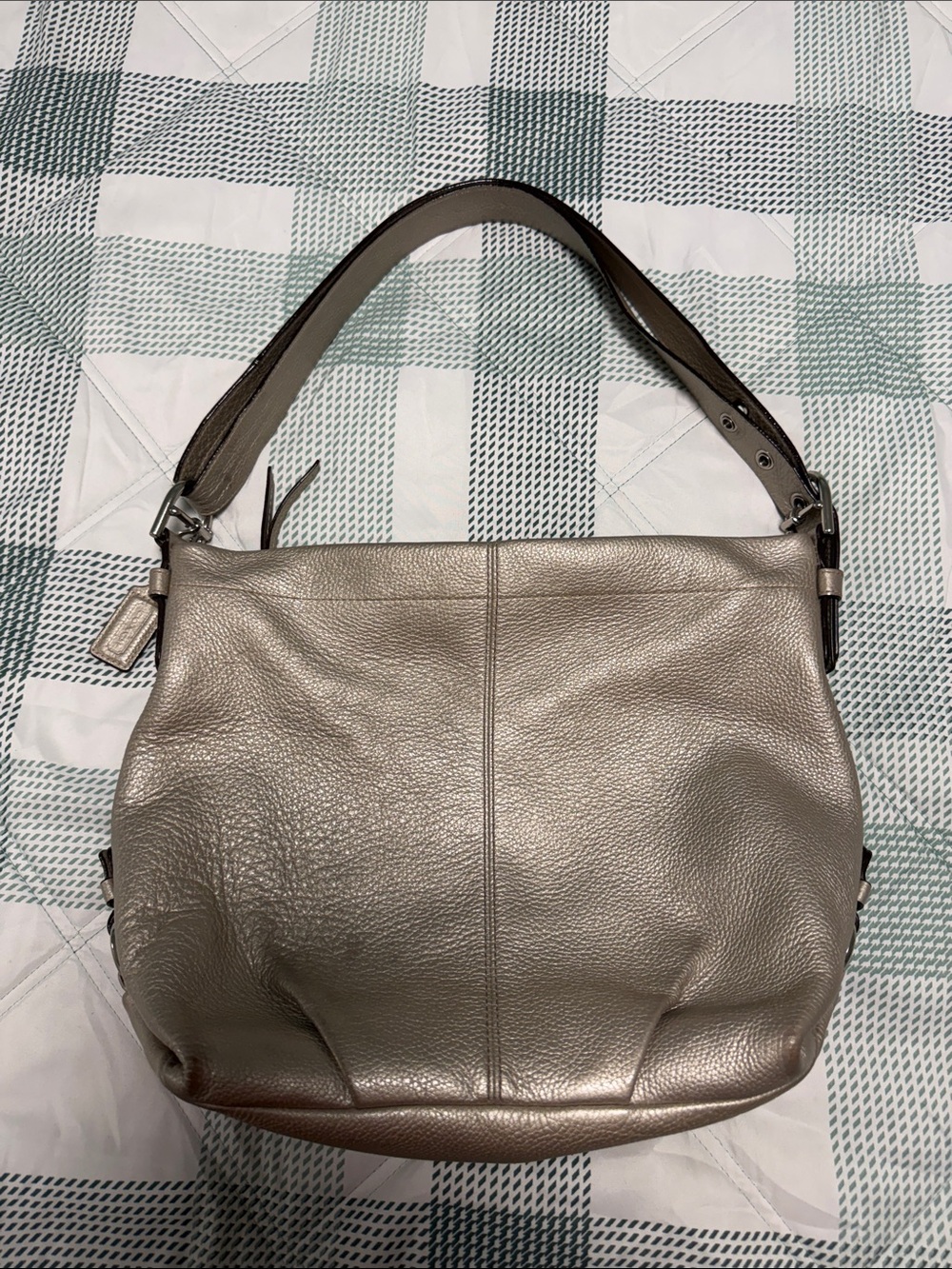 Coach Metallic Taupe Leather Shoulder Bag